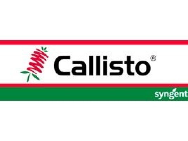 Callisto 480 SC
