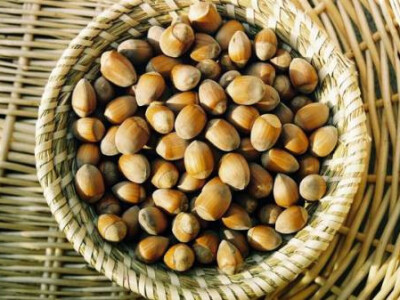 Vocne sadnice - Rasadnik Dren