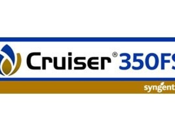 Cruiser 350 FS