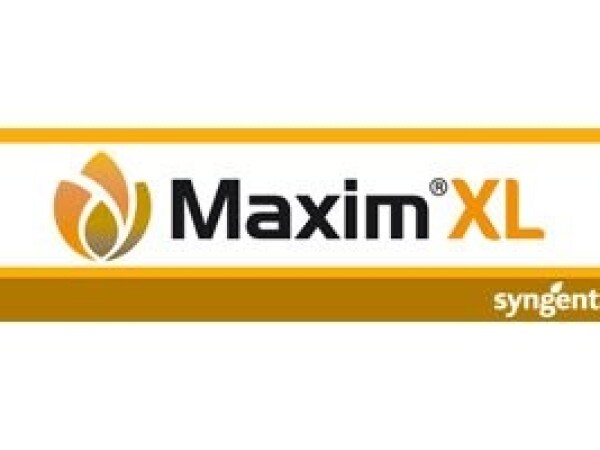 Maxim XL 035 FS