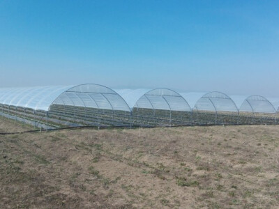 Plastenik za jagode - veronez