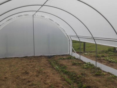 Plastenik 4,5 m širine sa bočnim otvaranjem