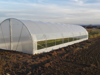 Plastenik 4,5 m širine sa bočnim otvaranjem