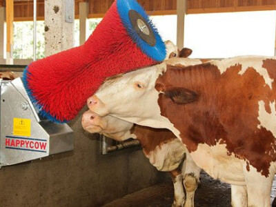 Četka za krave , AUTOMATSKA