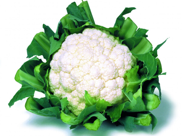 Sjeme cvjetače Cashmere F1