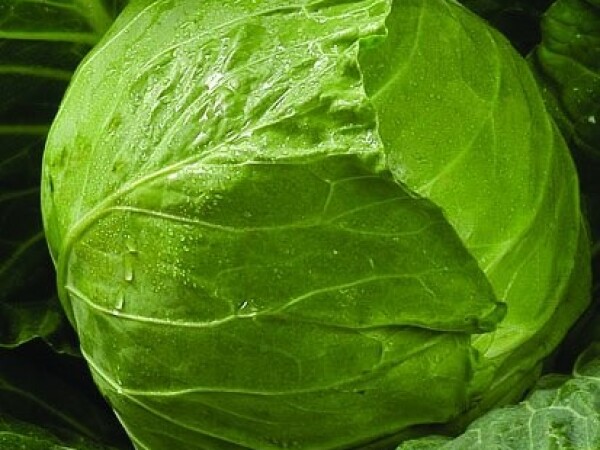 Sjeme kupusa NOZOMI F1 2.500s