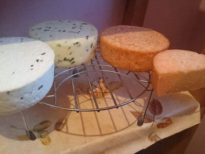 KRAVLJI SIR, VRHNJE, MLIJEKO, SIRUTKA