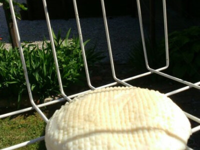 KRAVLJI SIR, VRHNJE, MLIJEKO, SIRUTKA