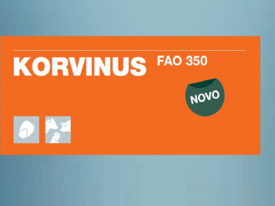 KORVINUS - hibrid kukuruza - FAO 350