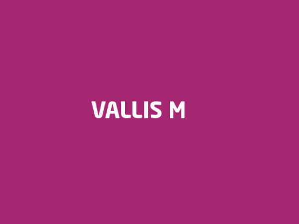 Vallis M