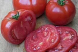 Rajčica Big Beef 100 sj.