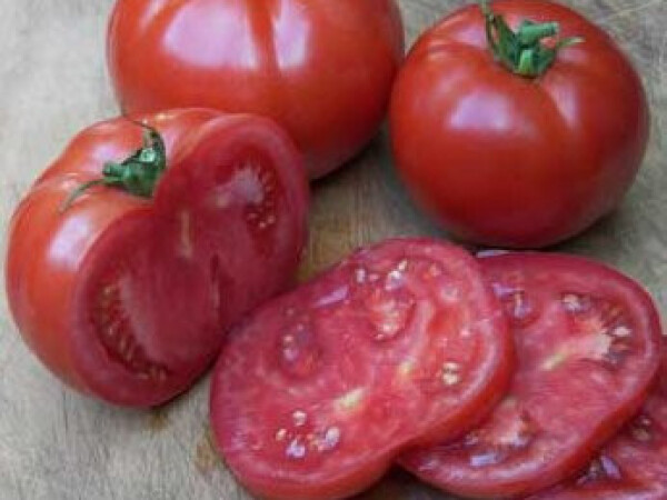 Rajčica Big Beef 100 sj.