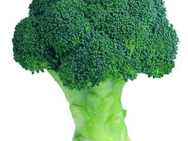 Sjeme brokule GREEN MAGIC F1 2.500s