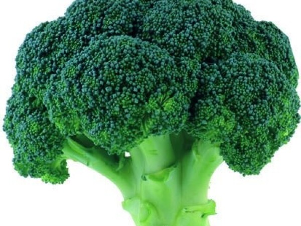 Sjeme brokule NAXOS F1 2.500s