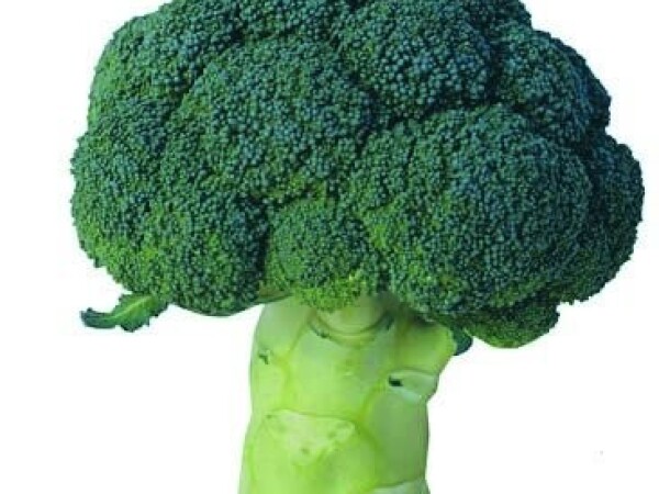 Sjeme brokule PARTHENON F1 2.500s