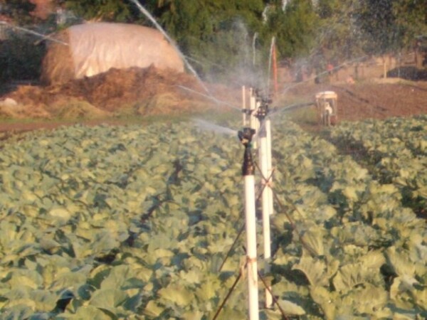 PVC cijev 3/4 dužine 0,5m  sa navojem M za rasprskivače