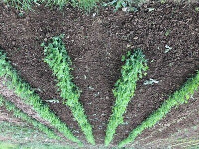 Ručna freza RF-120fix