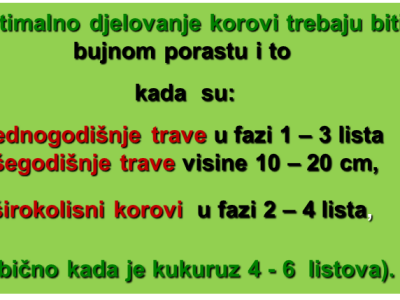 NICO 4 SC (Nikosulfuron 40 g/L)