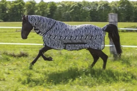 Ćebe protiv insekata Combo Riding World