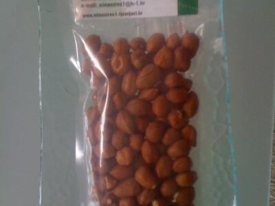 LJEŠNJAK očišćen prodajem