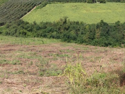 4,5ha zemlje u najboljem delu karlovaca