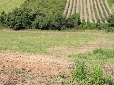 4,5ha zemlje u najboljem delu karlovaca