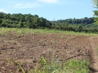 4,5ha zemlje u najboljem delu karlovaca