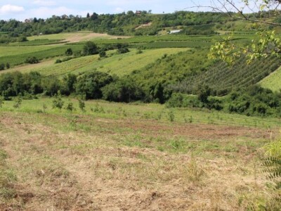 4,5ha zemlje u najboljem delu karlovaca