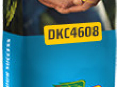 DKC4608 hibrid kukuruza, FAO 410