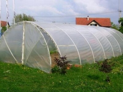 Plastenik 5m širine