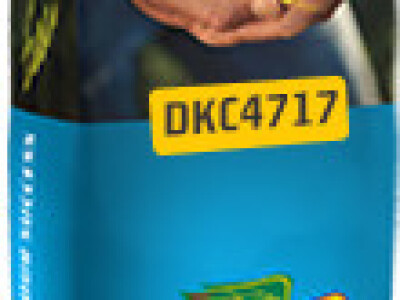DKC4717 hibrid kukuruza, FAO 380