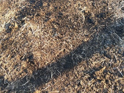 Glistenjak organsko ovčije djubrivo