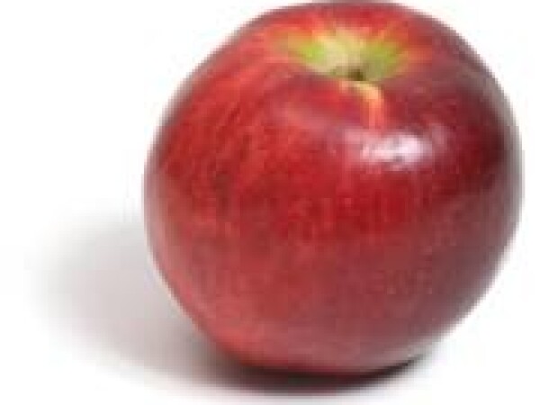 Jabuka - Liberty - sadnice