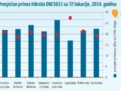 DKC5031 hibrid kukuruza, FAO 400