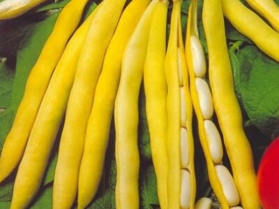 Grah mahunar - 200 g sjeme