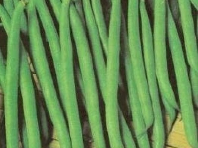 Grah mahunar - 200 g sjeme