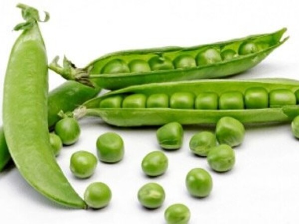 Grašak Č. Kelvedona - 250g sjemena