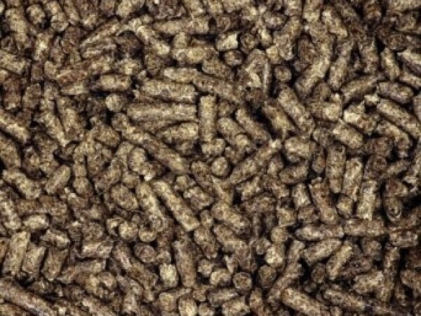 REPINI REZANCI SUHI BRIKETIRANI