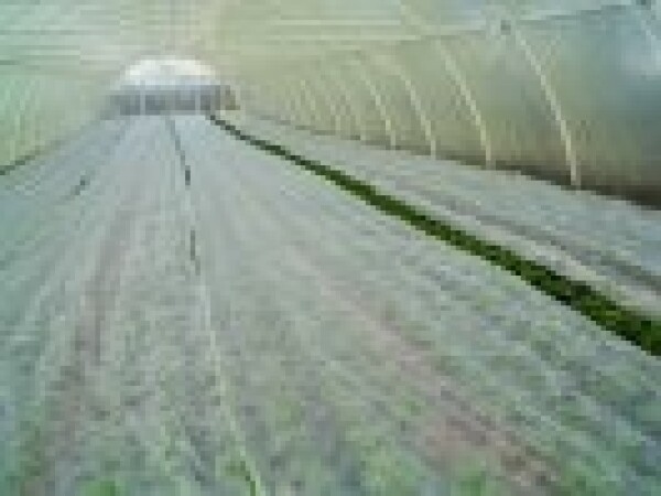 Agril, lutrasil,agrotekstil (17g) -tkanina za pokrivanje biljaka i zemljišta