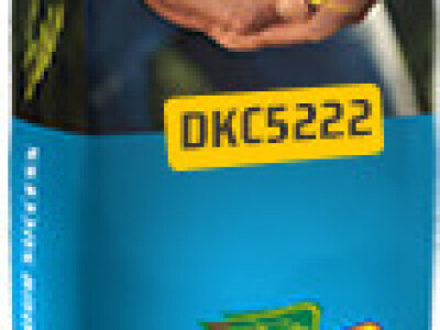 DKC5222 hibrid kukuruza, FAO 470