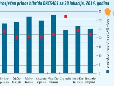DKC5401 hibrid kukuruza, FAO 550