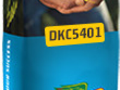 DKC5401 hibrid kukuruza, FAO 550