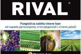 RIVAL ® Ad image