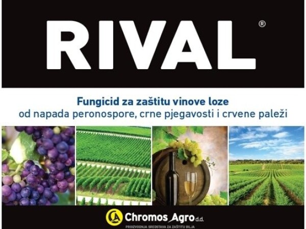 RIVAL ®