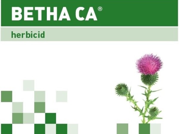 BETHA CA®