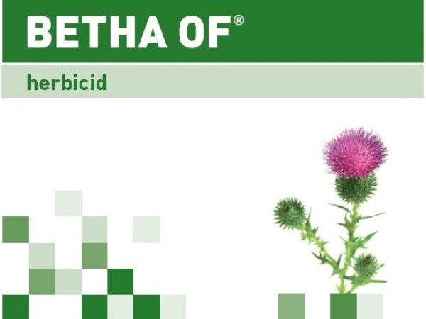 BETHA OF ®
