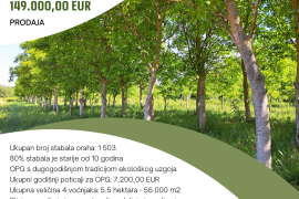 5.5 ha voćnjaka, 1500 stabala oraha, EKO OPG, osigurane polj.potpore