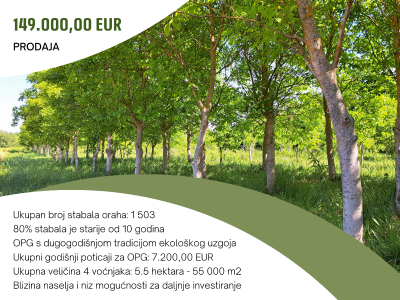 5.5 ha voćnjaka, 1500 stabala oraha, EKO OPG, osigurane polj.potpore