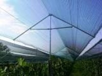 Metalni nosači (kišobrani) - zaštita vinograda i voćnjaka od TUČE