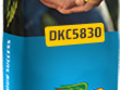 DKC5830 hibrid kukuruza, FAO 570